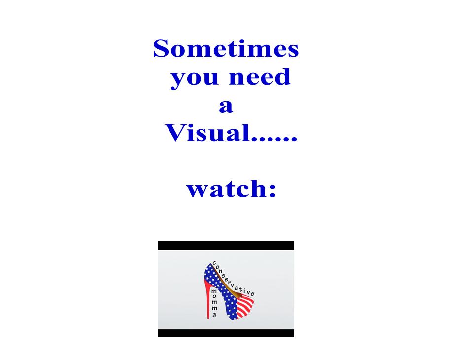 Seldom Visual Sometimes you need a visual: – Conservative Momma